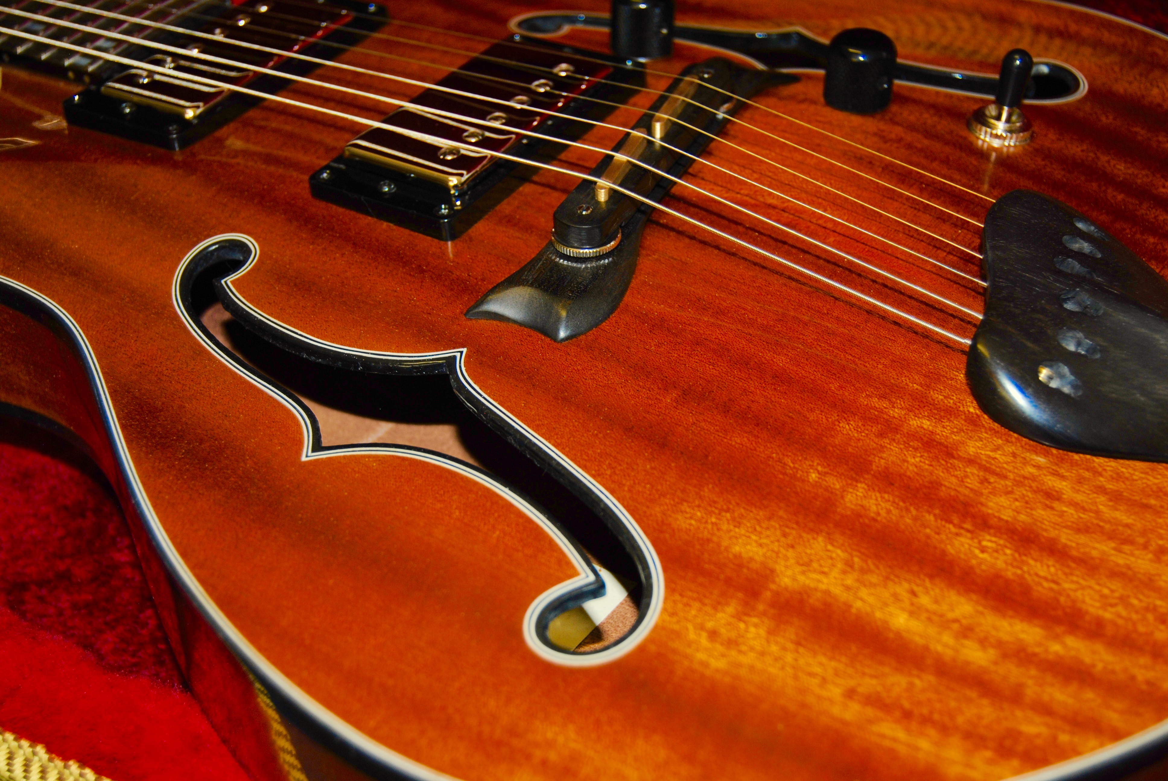 Handcrafted hollowbody archtop guitar - Schnell Guitars portfolio
