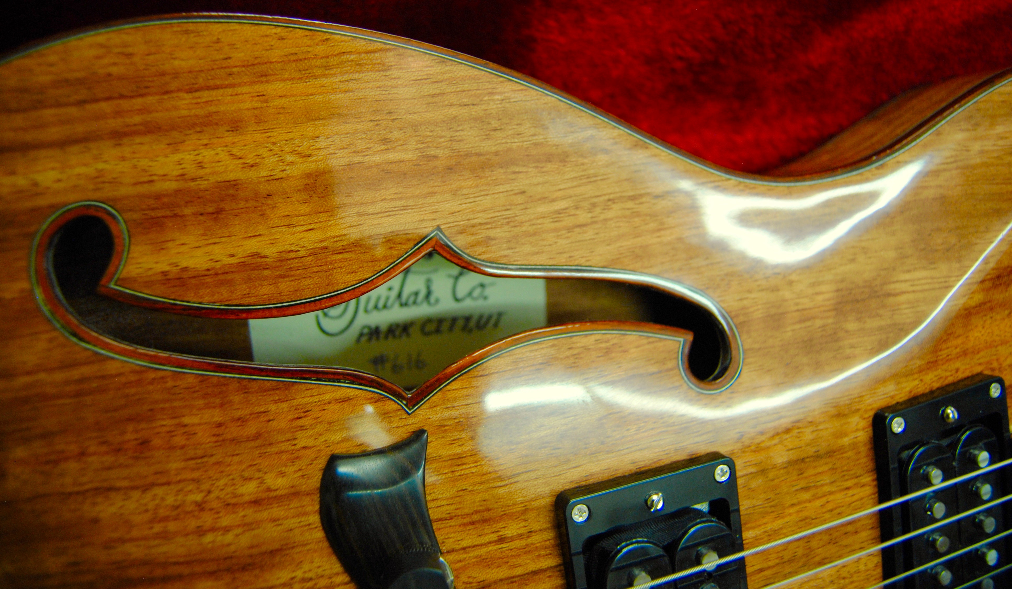 Handcrafted hollowbody archtop guitar - Schnell Guitars portfolio