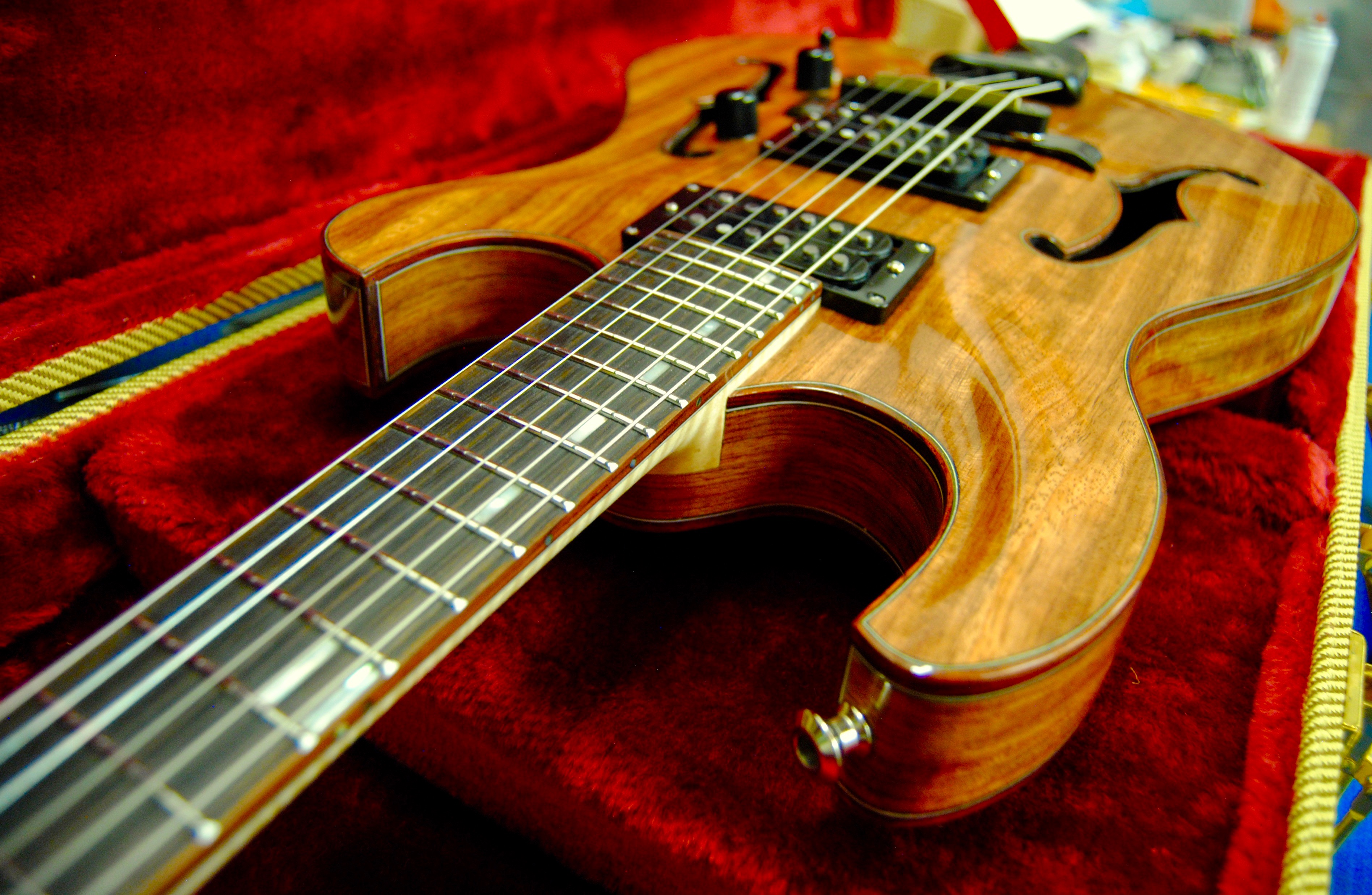 Handcrafted hollowbody archtop guitar - Schnell Guitars portfolio