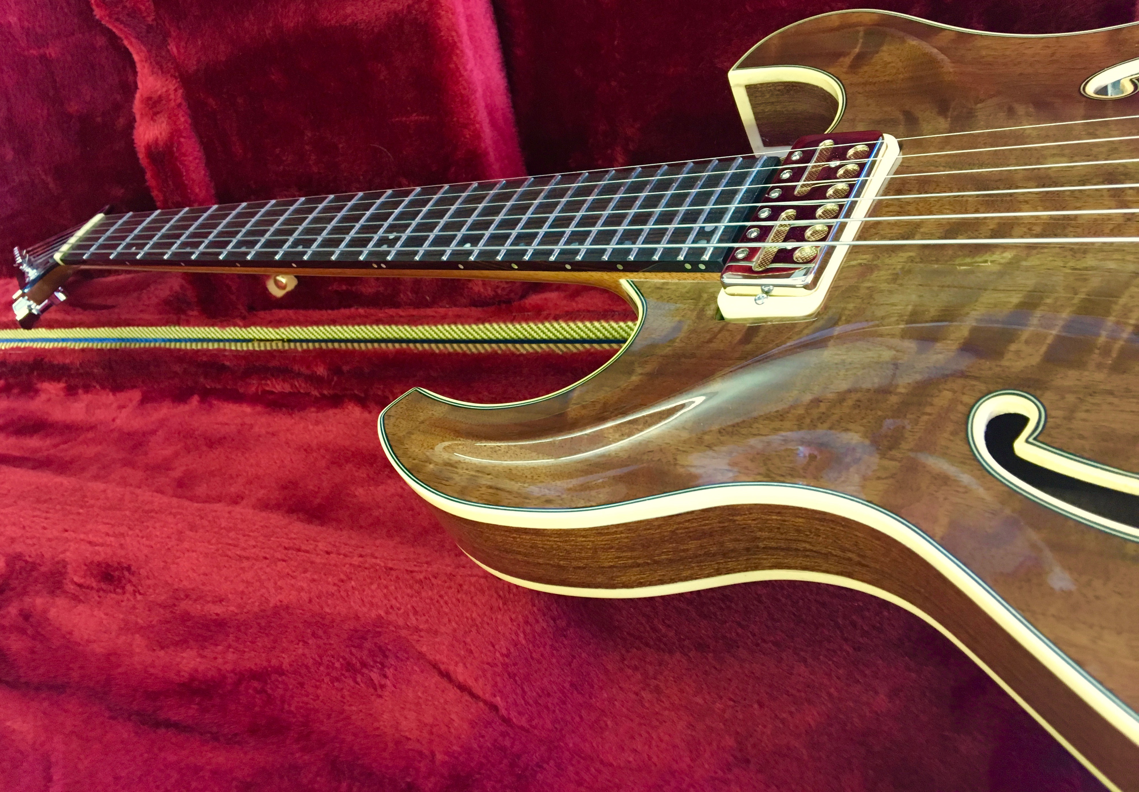 Handcrafted hollowbody archtop guitar - Schnell Guitars portfolio